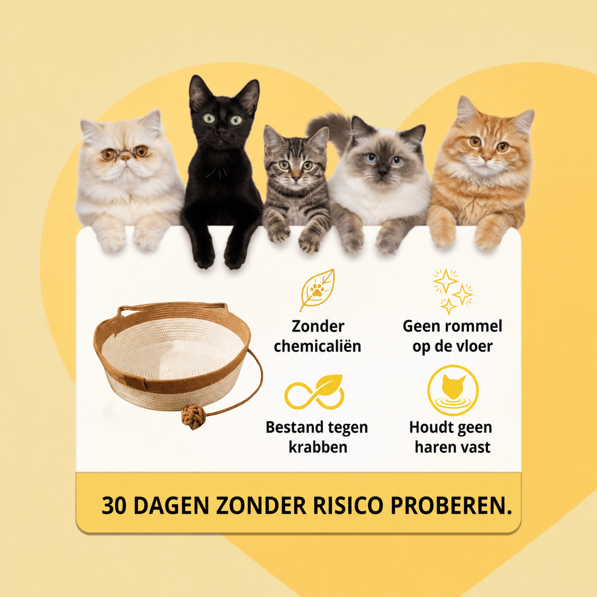 Het AllesDier Nestje
