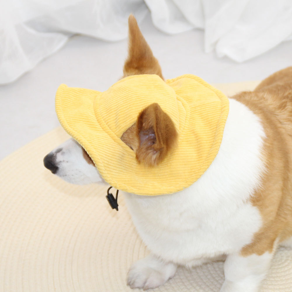 Hondenpet met zonneklep