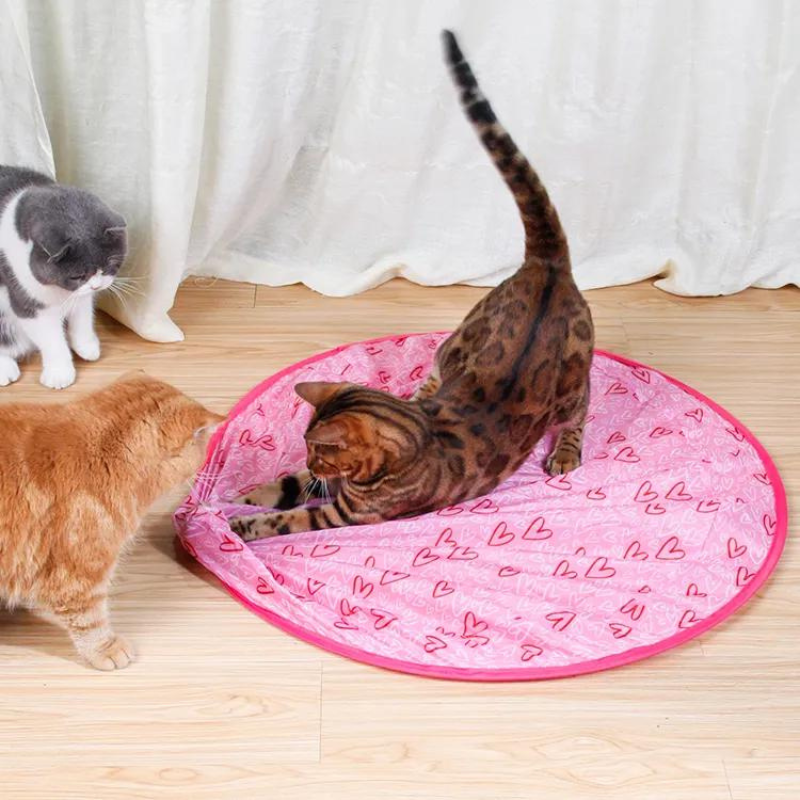 PootJacht interactief kattenspeeltje