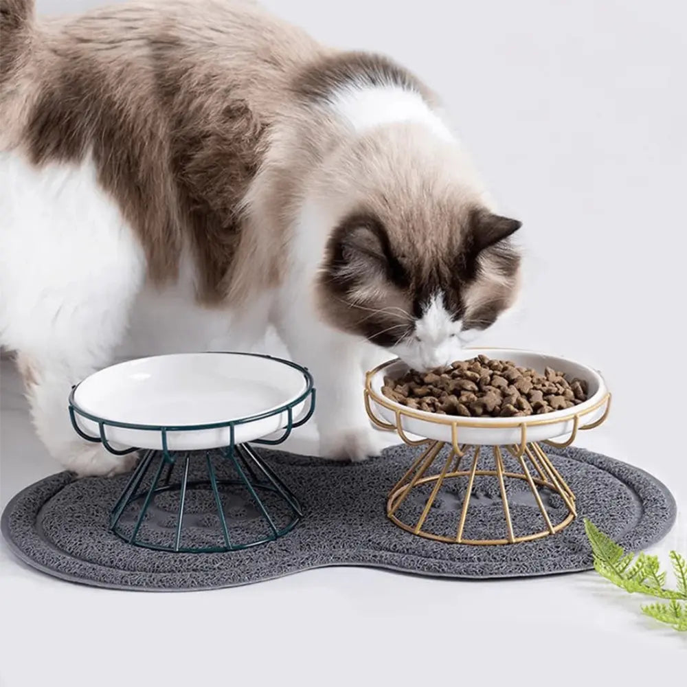 Ergonomische voerbak voor katten