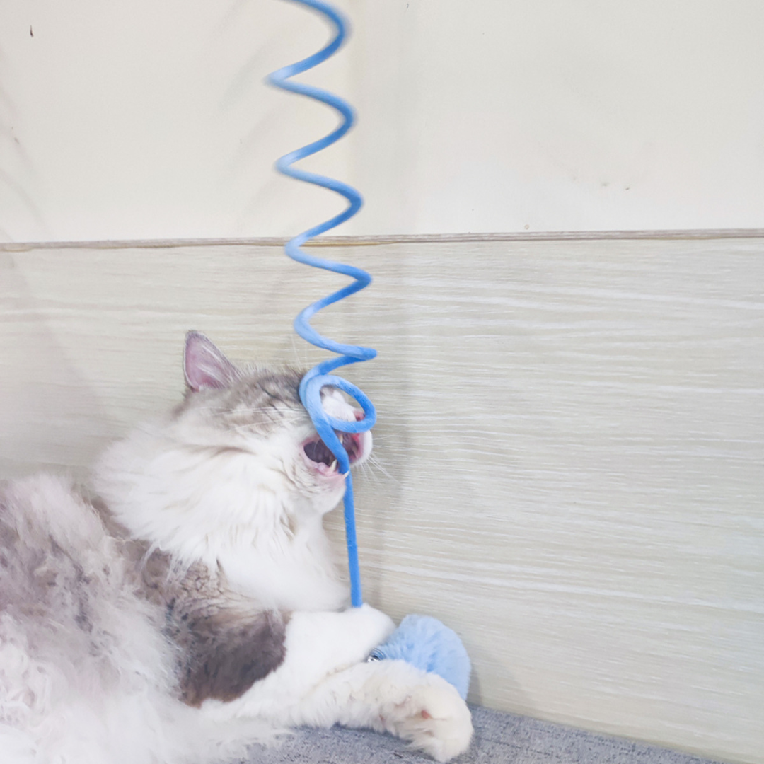 Interactief kattenspeeltje met pompon