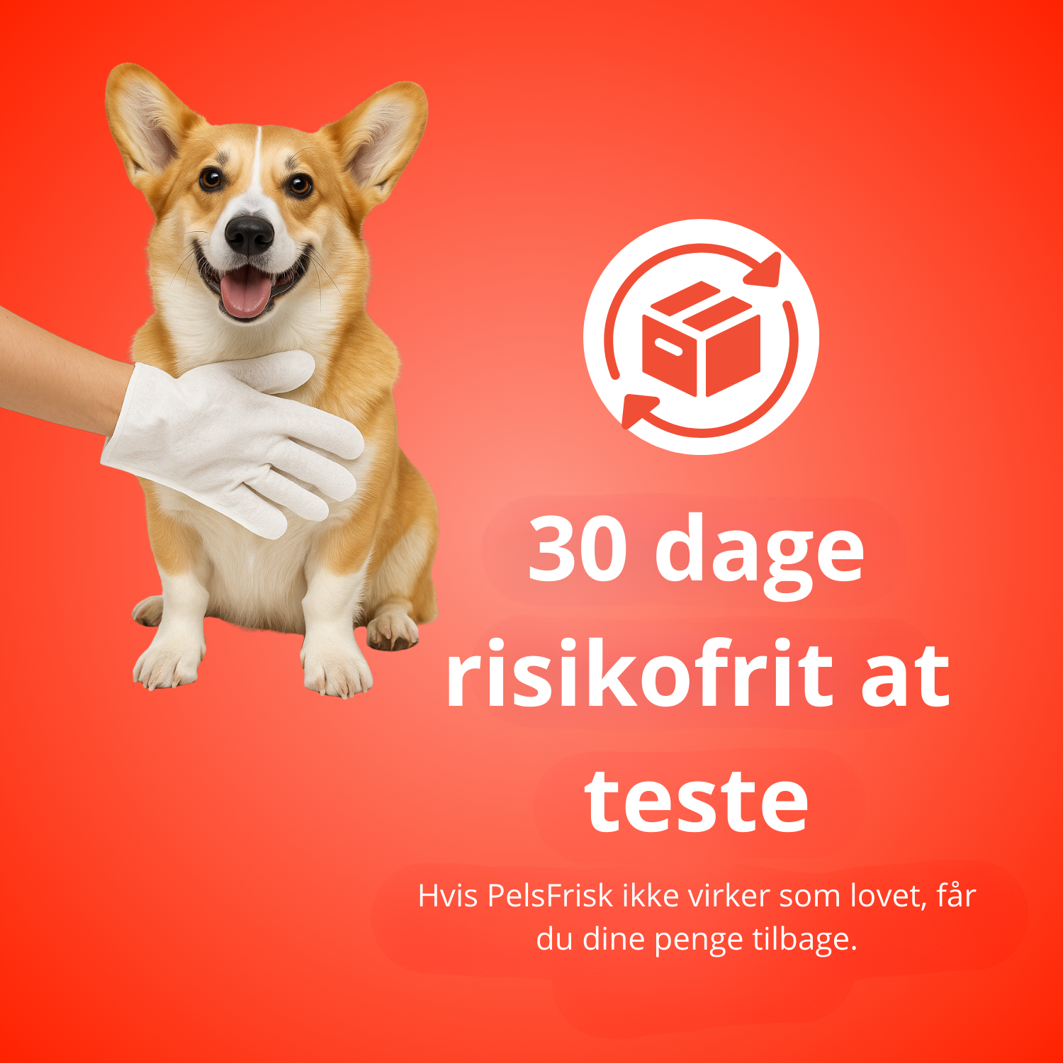 PelsFris verzorgingshandschoenen – 12 stuks