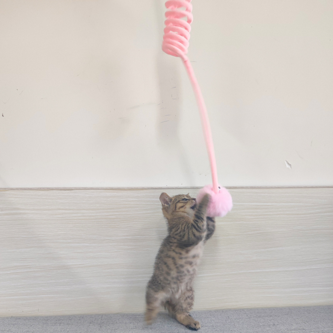 Interactief kattenspeeltje met pompon