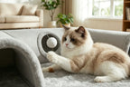 PurrTunnel | Kattenbed & Speeltunnel