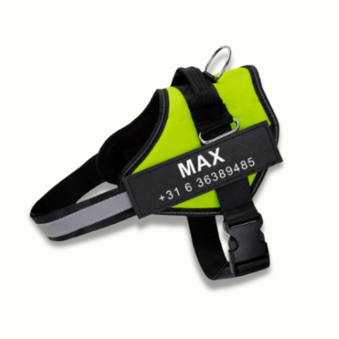 SafeWalk hondentuigje