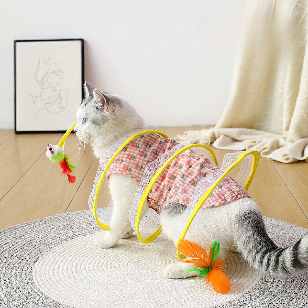 JachtSpiraal kattenspeeltje