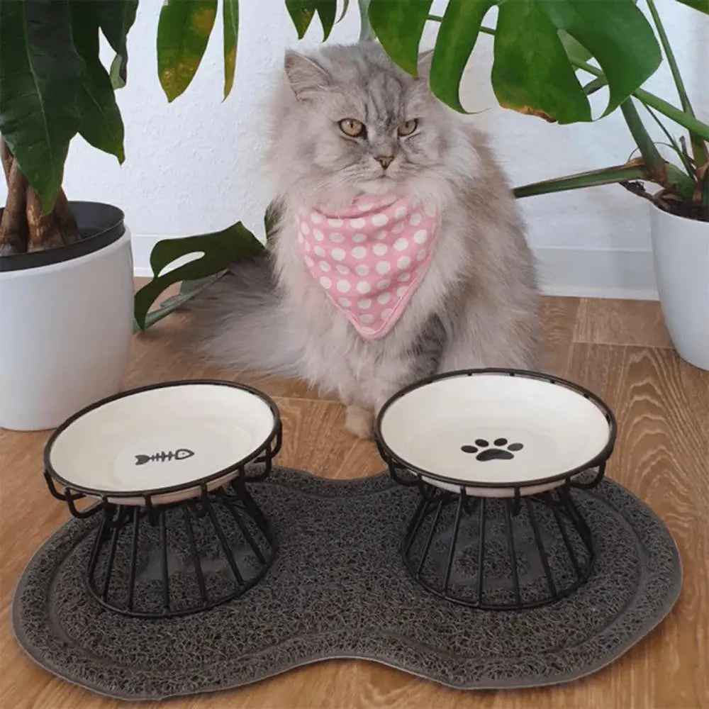 Ergonomische voerbak voor katten