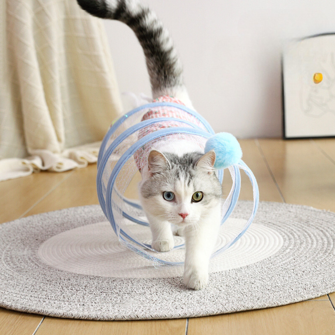 JachtSpiraal kattenspeeltje