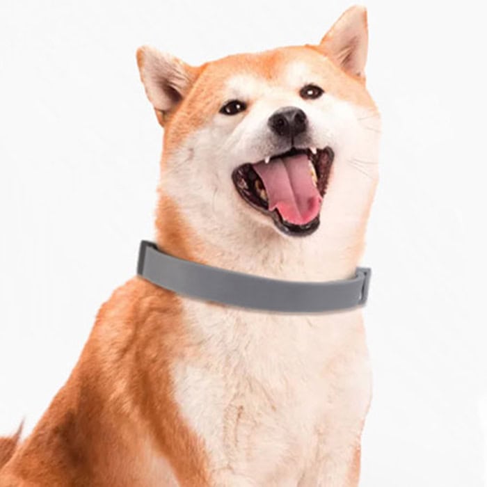 Beschermende huisdierenkraag