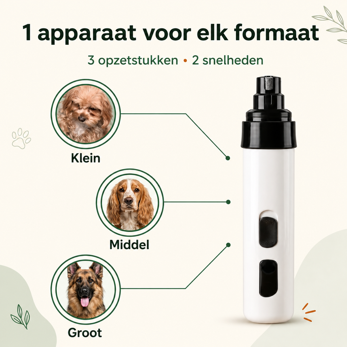 PootVijl