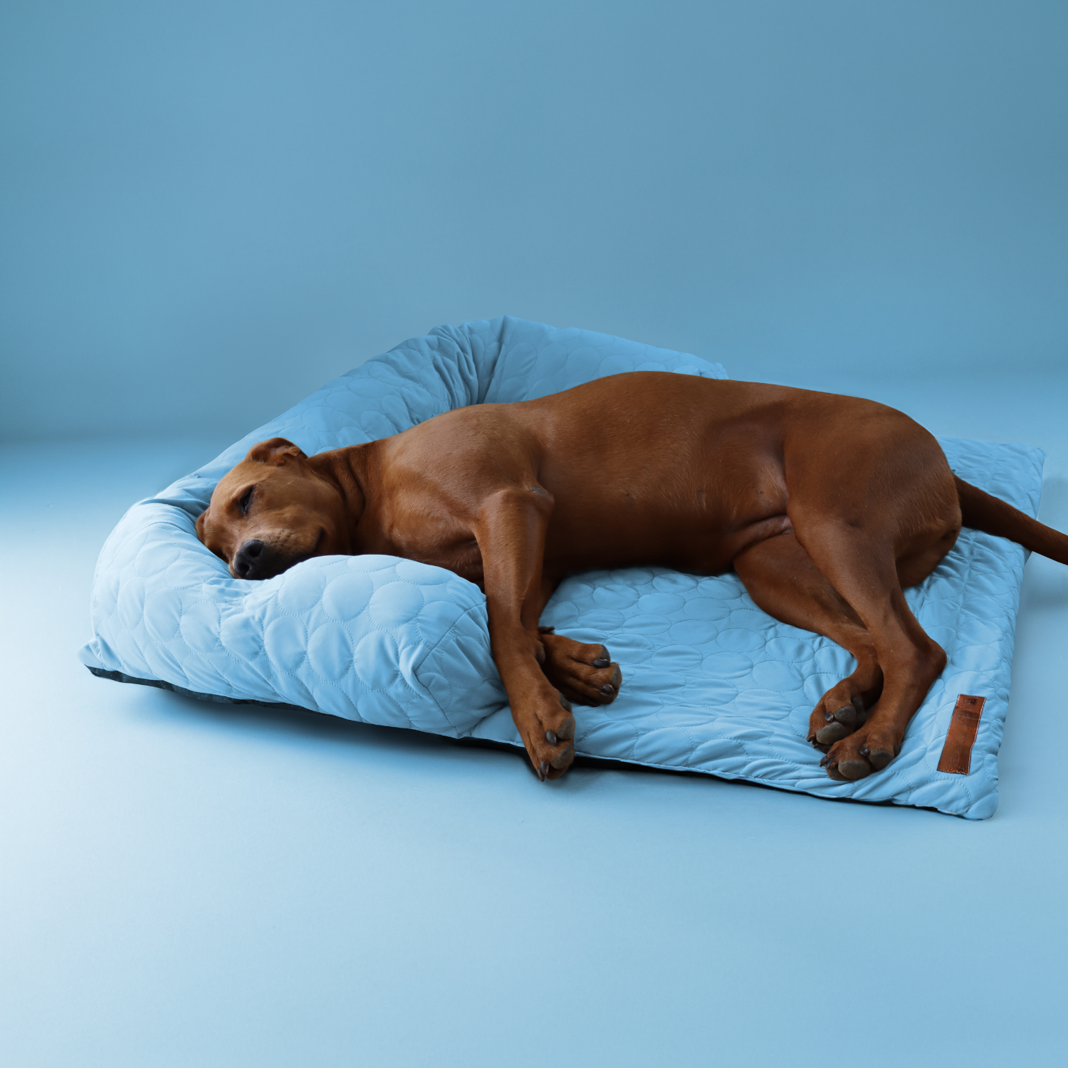 ZomerKoel hondenbed