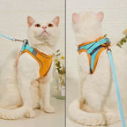 KatWalk kattentuigje