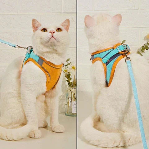 KatWalk kattentuigje