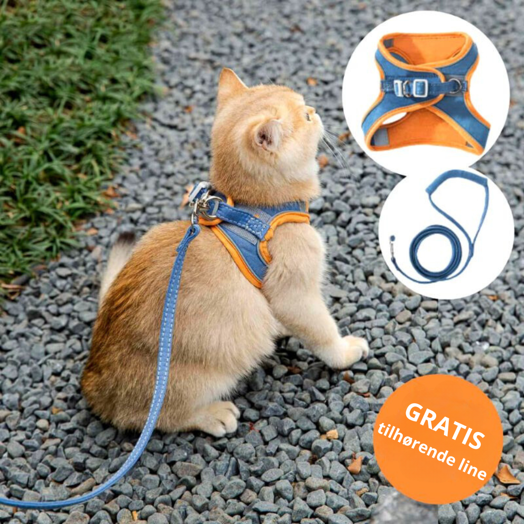 KatWalk kattentuigje