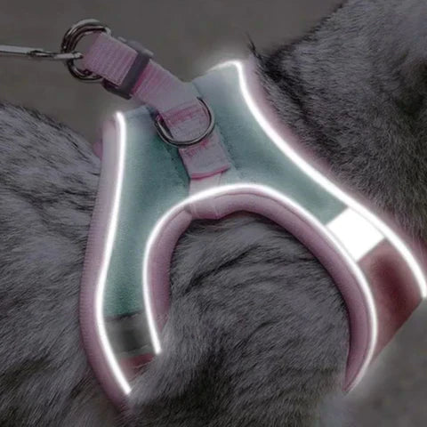 KatWalk kattentuigje