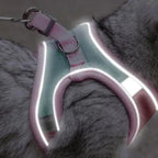 KatWalk kattentuigje