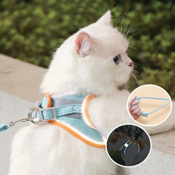 KatWalk kattentuigje