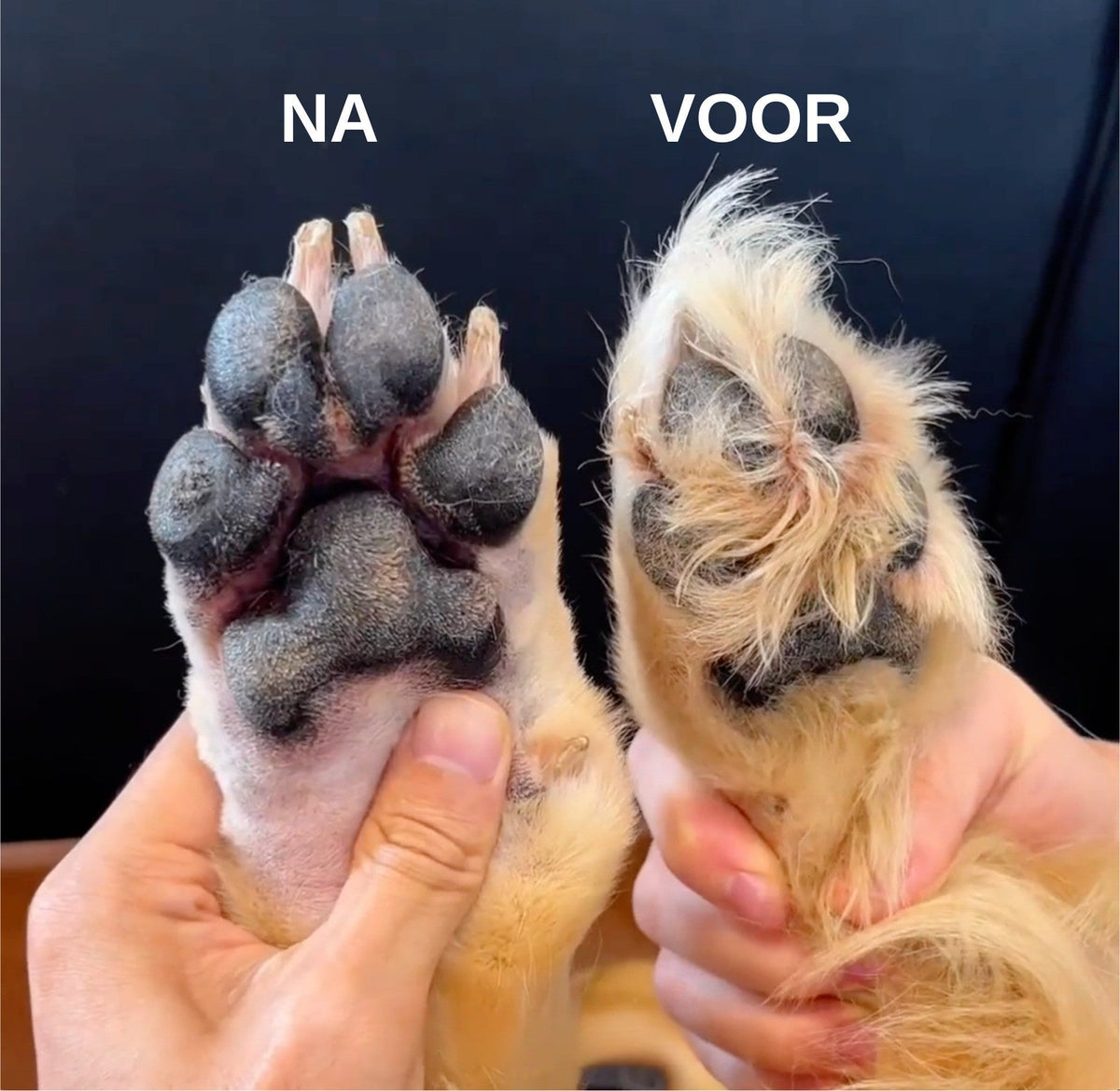 PootTrim Pro