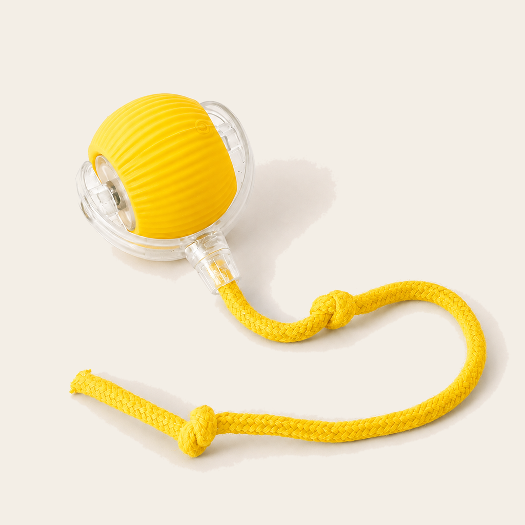 GlowChase LED-speelbal