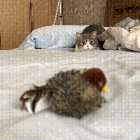 FlappyBird kattenspeeltje