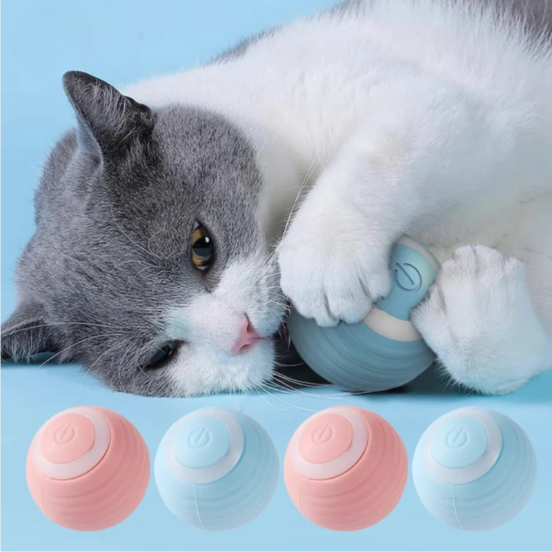 Interactieve kattenbal
