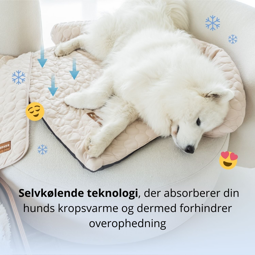 ZomerKoel hondenbed