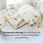 ZomerKoel hondenbed