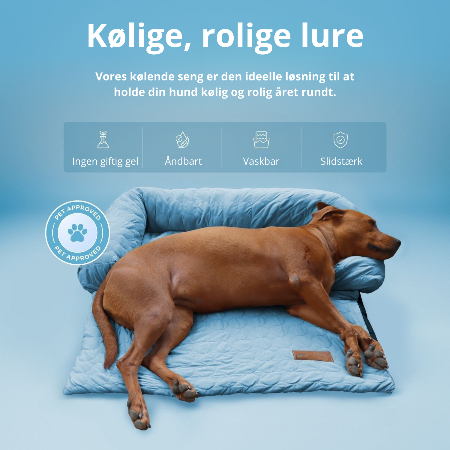 ZomerKoel hondenbed