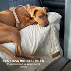 ZomerKoel hondenbed